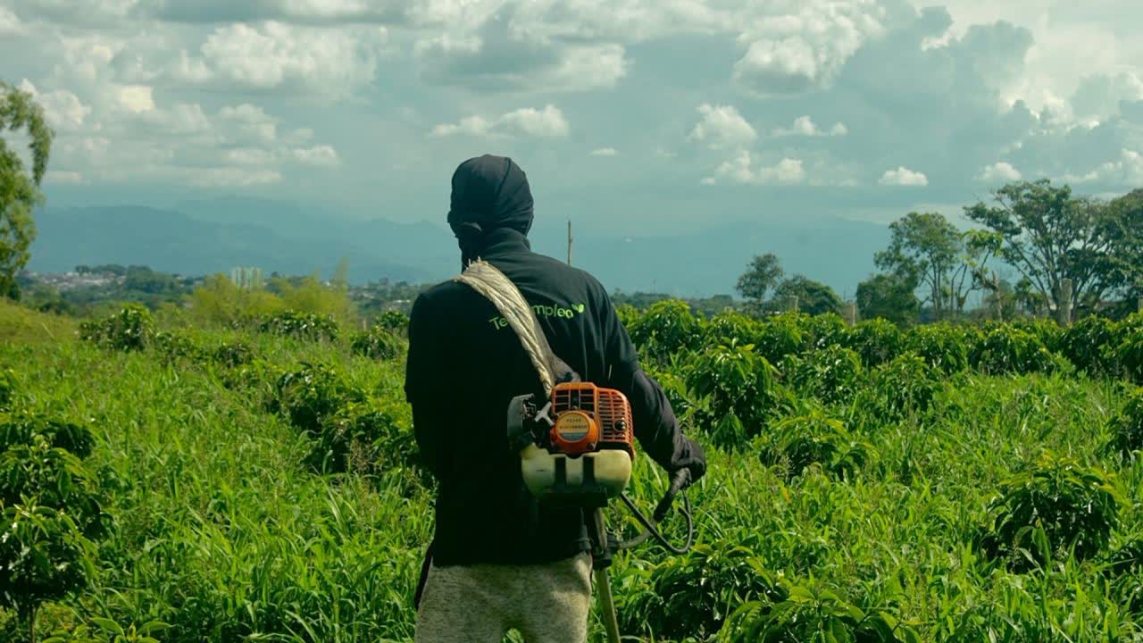 Trabajador agrícola solo en el campo