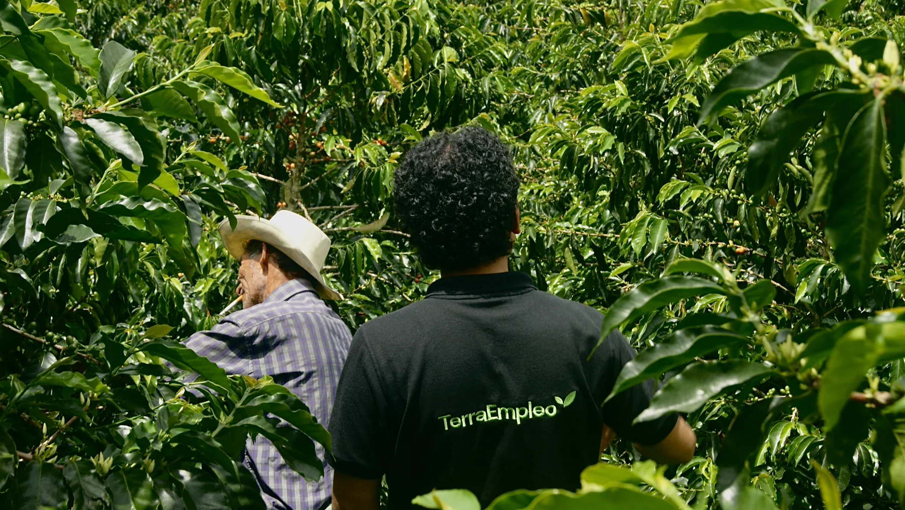 Equipo TerraEmpleo trabajando en el campo